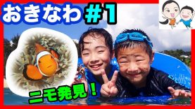 【沖縄の旅 #1】シュノーケルでニモ発見！ ベイビーチャンネル