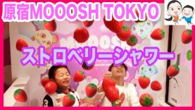 原宿モッシュ新店舗でコラボ★100万円超え豪華ストロベリーシャワー♡ ベイビーチャンネル