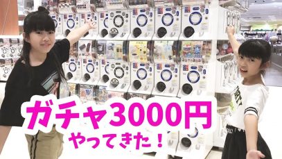 好きなガチャガチャを一人1000円やってきた！にゃーにゃちゃんねるnya-nya channel
