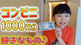 小学生に1000円渡したらコンビニで好きなもの何を買った？おすすめは？【セブンイレブン編】