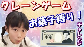 クレーンゲーム 1000円チャレンジ❤️UFOキャッチャー お菓子縛りで何個取れる？