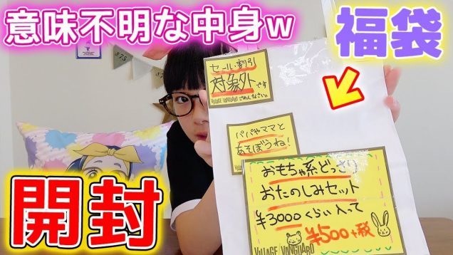 【大量全11点】おもちゃ系お楽しみ袋開封！3000円分が500円の福袋の中身！【ヴィレヴァン】