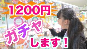 「1200円分」ガチャガチャしてみた！！