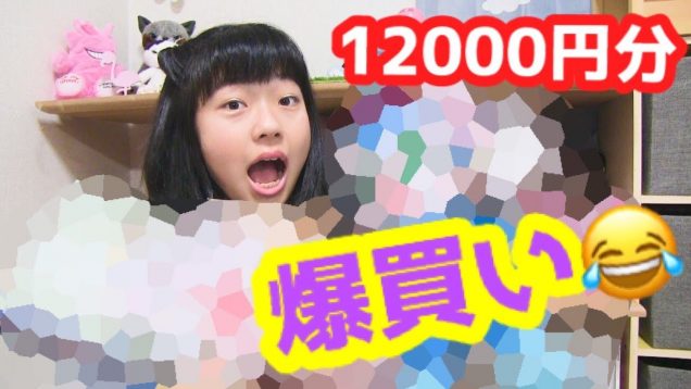 12,000円分の文具?雑貨を爆買い!?