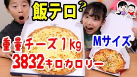 【飯テロ#13】話題！悪魔の１キロチーズピザがすんごい！【ベイビーチャンネル 】