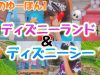 2日間のディズニーリゾート!!!