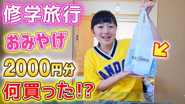 修学旅行で行った日光のおみやげ2000円分何買った!?家族へのおみやげ紹介♪