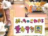 めっちゃさわれる動物園【2019年1月閉園】2018年12月の様子【ピエリ守山】