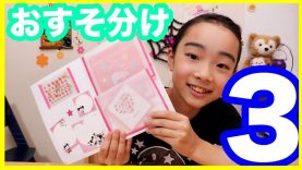 【パート3】ピンクだらけの手作りおすそ分けファイル紹介☆ベイビーあんチャンネル