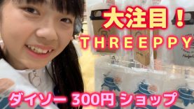 【新☆オープン！】ダイソー姉妹店の300円ショップに行ってみた！