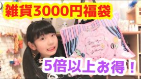 ファンシーショップで買った3000円の福袋が５倍以上お得だった！