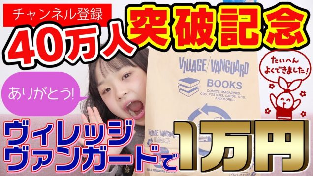 40万人記念！ヴィレッジヴァンガード１万円企画 ひなたをヴィレバンに放置してみた