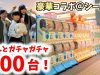 【日本最大級】ガチャガチャ630台のお店！1人ご予算1000円で回したガチャはいったい？【のえのん番組 × ももかチャンネル】