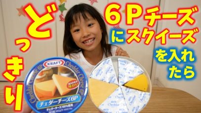 【どっきり】6Pチーズにスクイーズを入れてみた
