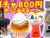 800円でガチャにチャレンジ【すみっコぐらしのスクイーズ、アンパンマン、ミニオンズ】