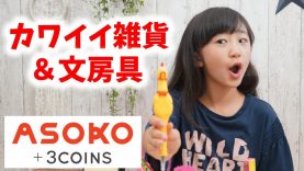 【プチプラ雑貨店】ASOKO(アソコ) + 3COINS(スリーコインズ )購入品紹介！【ももかチャンネル】