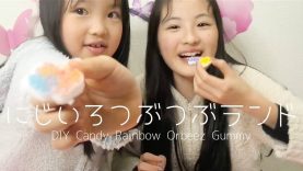 姉妹でにじいろつぶつぶランド-DIY Candy Rainbow Orbeez Gummy-