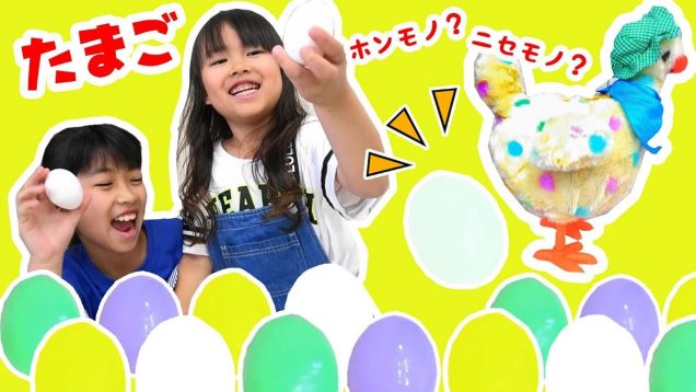 本物？ニセモノ？カラフルたまごがうまれた！Egg squeezeたまごスクイーズHen Laying Eggs ★にゃーにゃちゃんねるnya-nya channel