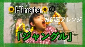 Hinata お部屋アレンジ　part.3「ジャングル」