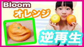 超不思議！ブルームのオレンジ逆再生☆I LOVE ORANGE FRESH Bloom ベイビーあんチャンネル