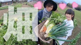 ゆーぽん初めての野菜収穫をしてみたら…. in 佐賀県