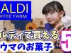 【KALDI購入品】カルディで気になる激ウマお菓子5選！【ももかチャンネル】