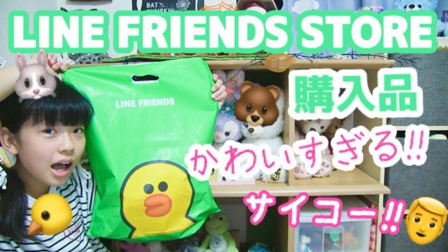 【原宿】ラインのお店☆購入品紹介！【LINE FRIENDS STORE】