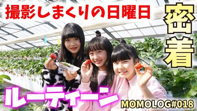 【ルーティーン】コラボ撮影しまくりの日曜日！MOMOLOG#018【ももかチャンネル】