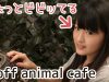 【Moff animal cafe】小動物たちにたくさん癒されてきました