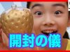 原宿モッシュピーチくじ【S1賞】金のいちごがすごい！ ベイビーチャンネル
