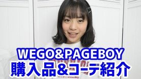 【WEGO / PAGEBOY】購入品＆ファッション紹介！