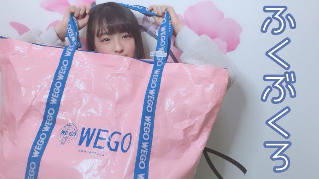 WEGO福袋を開封レビューしてみた！