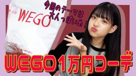 【WEGO】1万円以内夏服コーデ紹介！！
