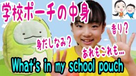 学校用ポーチの中身＜秋編＞What’s in my school pouch【ベイビーチャンネル】