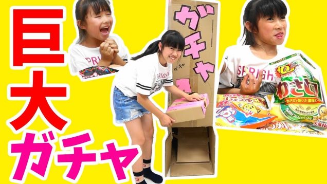 ダンボール巨大ガチャ★ポテチがいっぱい！どの味が好きかな？★にゃーにゃちゃんねるnya-nya channel