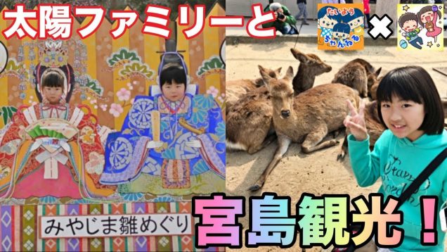 太陽チャンネルさん達と一緒に宮島 厳島神社観光❤️TaiyoChannelコラボ