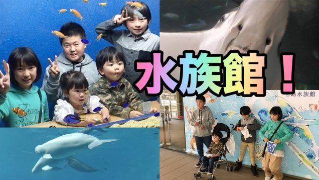 水族館 珍しいシロイルカの子供?太陽チャンネルさんと行ったらめちゃ楽しかった❤️