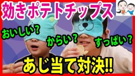 【姉弟対決】お菓子の味あてでまさかの◯◯味!? ベイビーチャンネル