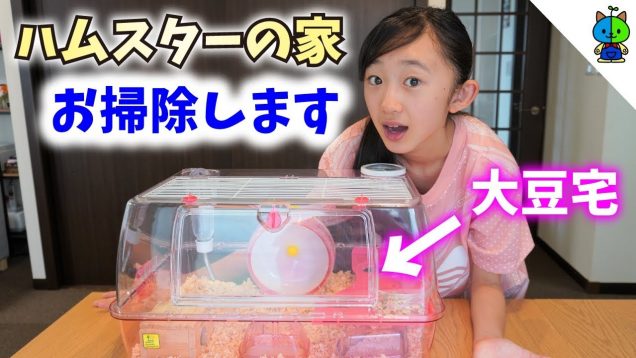 【大掃除】大豆ハウスを掃除する！ハムスター小屋?【ももかチャンネル】