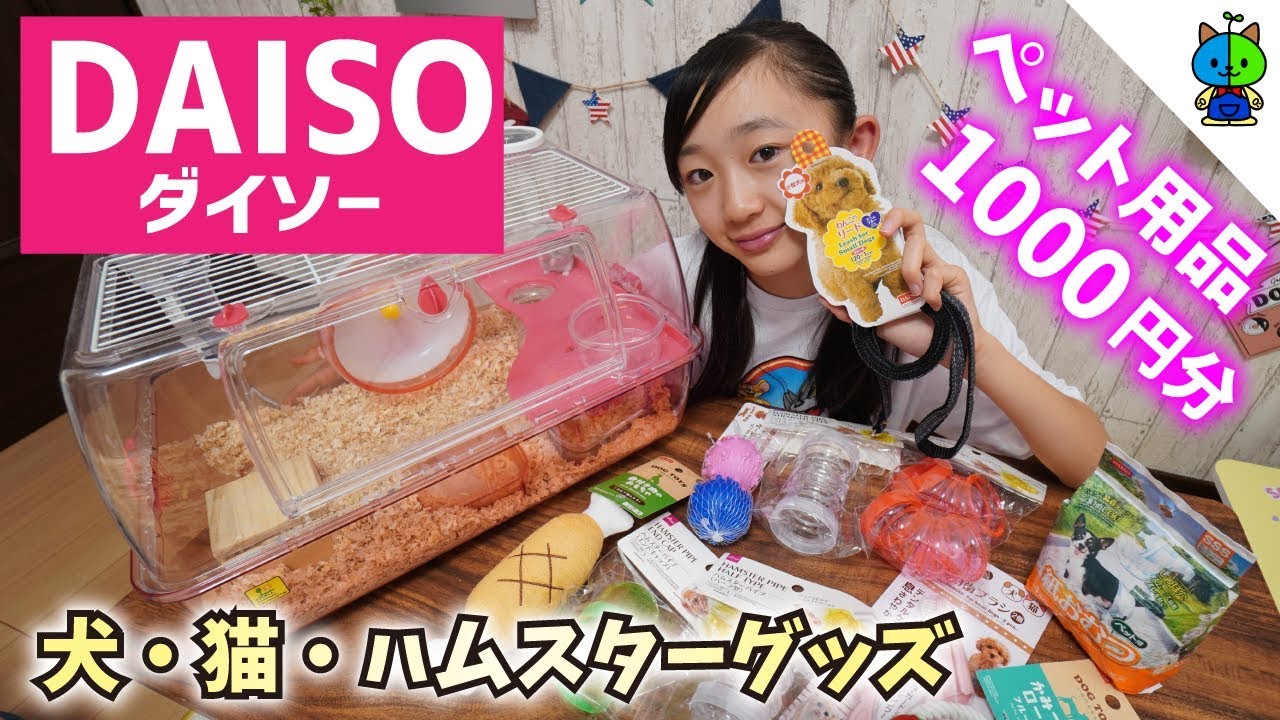 【ペット用品】激アツのダイソーのペット用品！厳選10品！犬&ハムスター【ももかチャンネル】