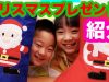 クリスマスプレゼント紹介&どうぶつの森フレンドコード♡ ベイビーチャンネル