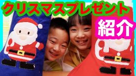 クリスマスプレゼント紹介&どうぶつの森フレンドコード♡ ベイビーチャンネル