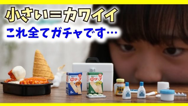 【ミニチュア】ガチャで出た物が激カワ過ぎてビビった！【ももかチャンネル】