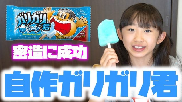 小学生が自宅で再現！ ガリガリ君 作ってみた！【ももかチャンネル】