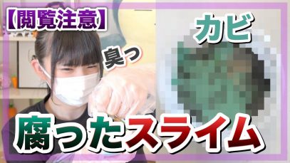 【閲覧注意】腐ってカビまで生えたスライムがあったので検査してみました。