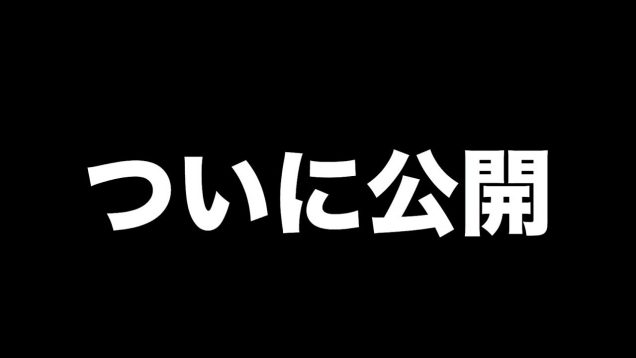 ついに公開します。