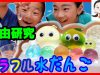 つかんで遊ぼう★虹色ぷるぷるカラフル水だんご★ ベイビーチャンネル