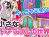 【ディズニー】ゆーぽんドアラブルの世界に行っちゃいました♡