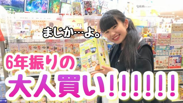 ミニチュアを大人買いしたぞ！ぐへへへへ