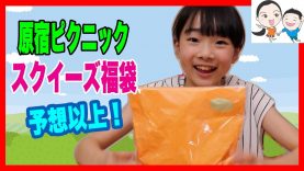 原宿ピクニック【スクイーズ福袋】予想以上！ ベイビーチャンネル squishy lucky bag
